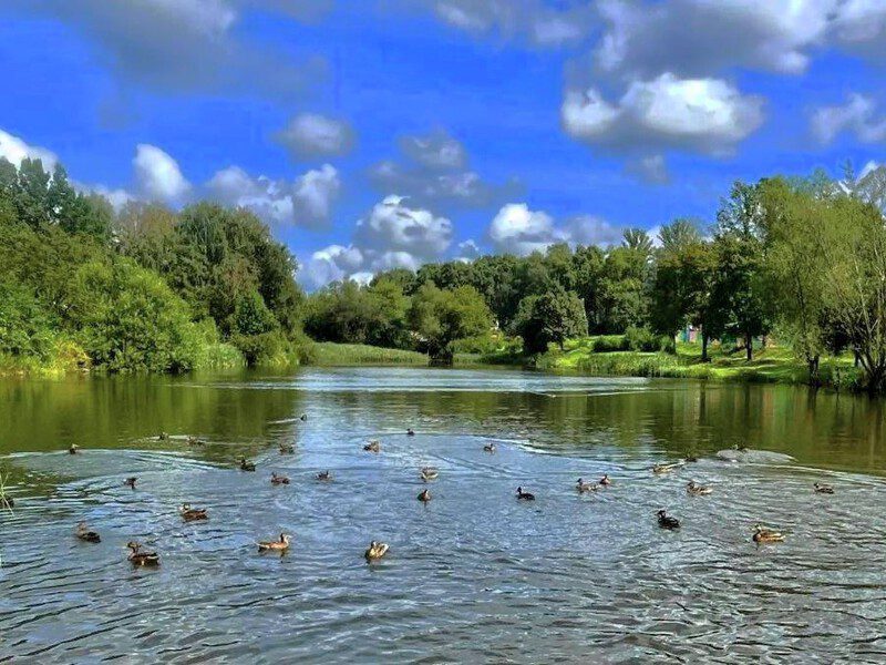 Жители определили, какие водоёмы Наро-Фоминского округа расчистят в 2026 году