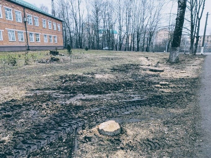 В Наро-Фоминске деревья сменили на фонари