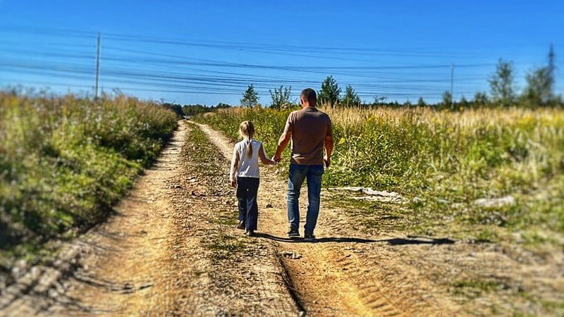 Строительство фермы «Агроподворье» в Наро-Фоминском округе