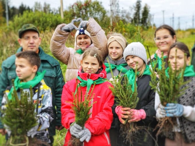 Посадка елей в Наро-Фоминске — 2500 деревьев высадили волонтеры