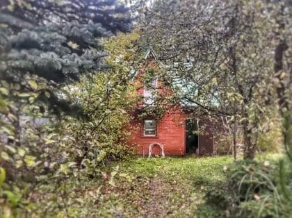 Нарколаборатория в Наро-Фоминске: задержанный и 8 кг наркотиков. Фото: стоп-кадр с видео ГУ МВД России по Московской области