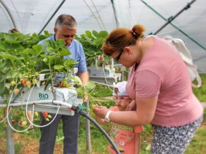 Гринфилдс Агро