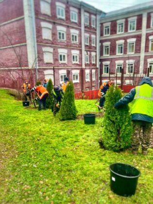 На улицах Наро-Фоминска высадили 25 туй