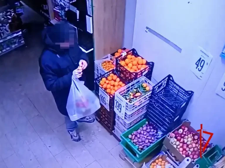 Рецидивист из Наро-Фоминска задержан в Орехово-Зуево