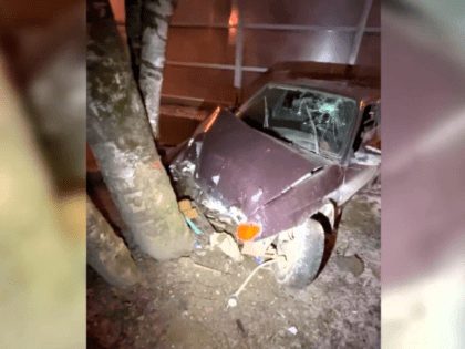 Водитель скрылся от полиции и врезался в дерево в Селятино