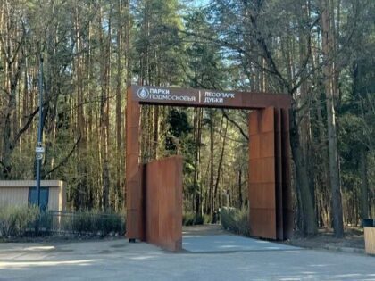 Апрелевка: лесопарк «Дубки»