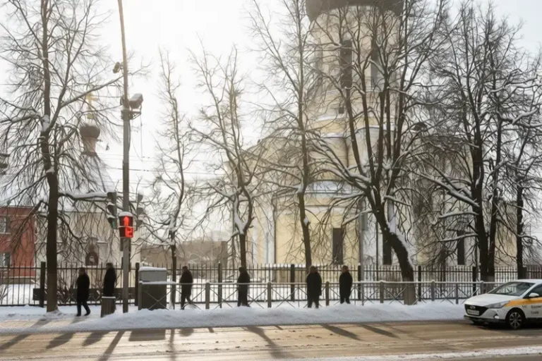 Погода в Наро-Фоминске 15 января: мороз до –16°C