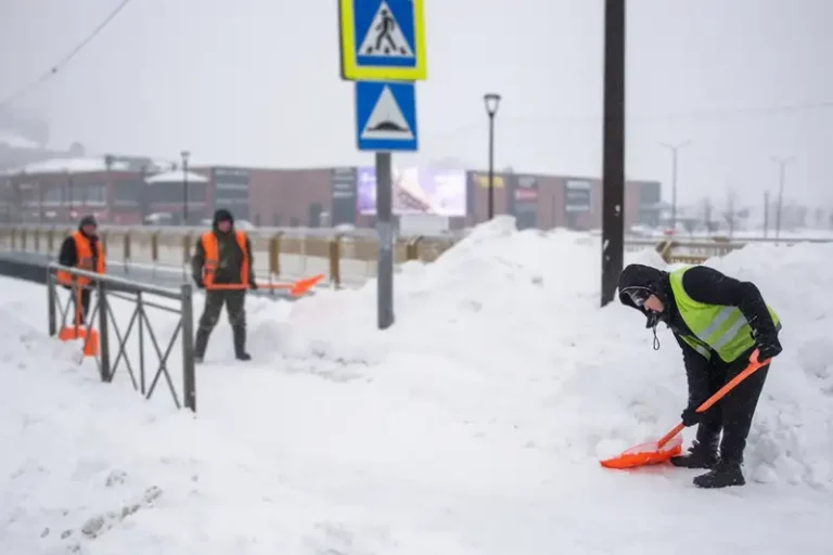 Снежный субботник в Наро-Фоминске 31 января 2026 года