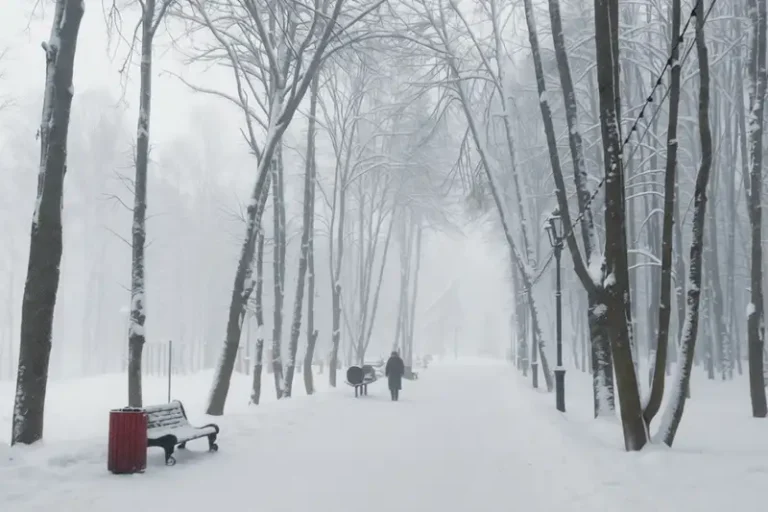 Снегопад 27-28 января в Подмосковье: прогноз погоды на неделю