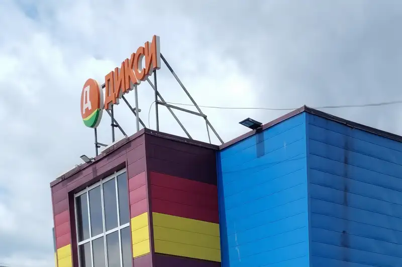 Укус собаки в Наро-Фоминске: нападение у магазина «Дикси»