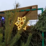 Куда сдать ёлку в Наро-Фоминске: адреса пунктов до 8 февраля