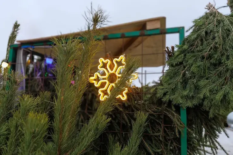 Куда сдать ёлку в Наро-Фоминске: адреса пунктов до 8 февраля