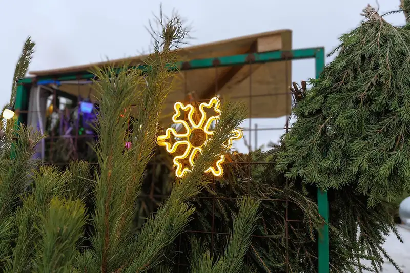 Сдать елку на переработку в Наро-Фоминске: прием новогодних елок в 2026 году