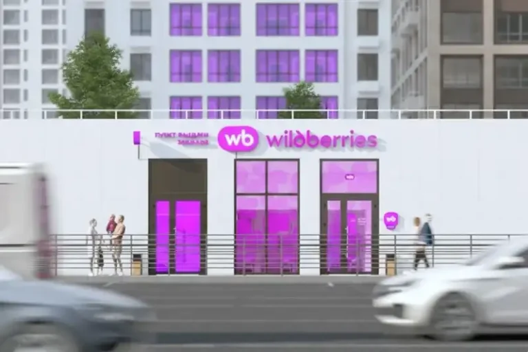Самые дорогие покупки Wildberries 2025: рейтинг