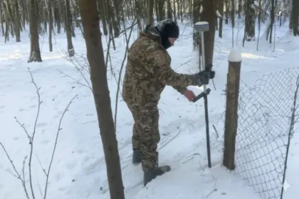 Девять владельцев участков в СНТ «Международник» ответят за захват леса
