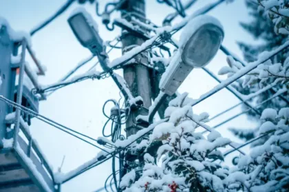 В Алабино на Лесной улице починили фонари и заменили их на светодиодные