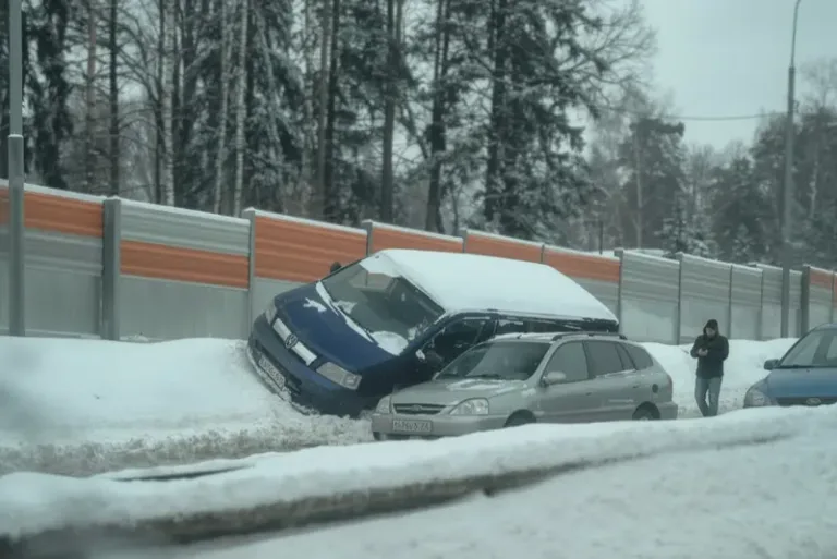 Синий микроавтобус вылетел в сугроб на обочине ЦКАД возле Калининца