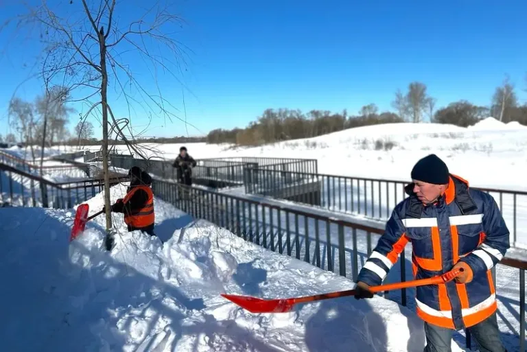 Специалисты МБУ Благоустройство ухаживают за молодыми ивами на набережной Наро-Фоминска в зимний период