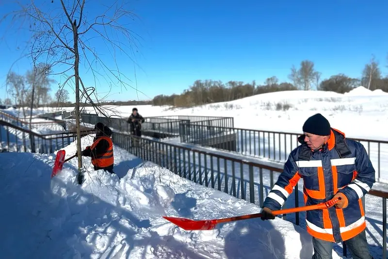 Специалисты МБУ Благоустройство ухаживают за молодыми ивами на набережной Наро-Фоминска в зимний период