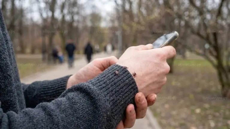 Клещи в Наро-Фоминске 2026: сезон начался раньше срока