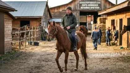 Упал трижды, дошёл до суда: житель Москвы отсудил у конюшни в Наро-Фоминске 30 000 рублей
