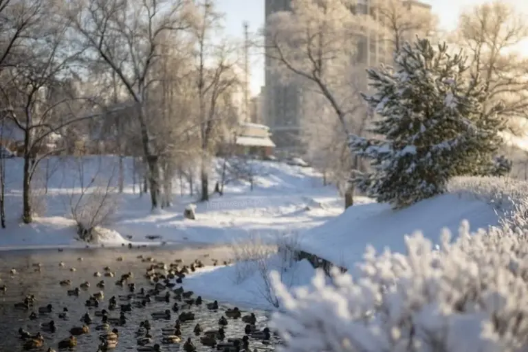 Река Нара в Наро-Фоминске ранней весной, первый день марта, тающий снег на берегу
