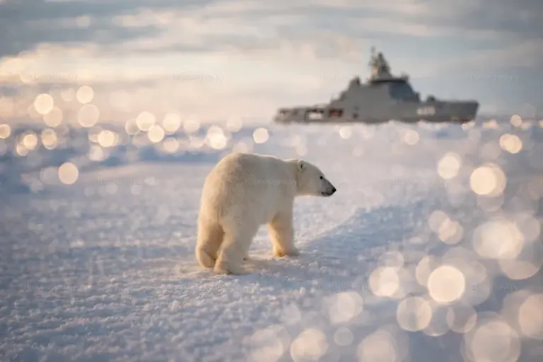Моряки «Ивана Папанина» поздравили Наро-Фоминск с 8 Марта
